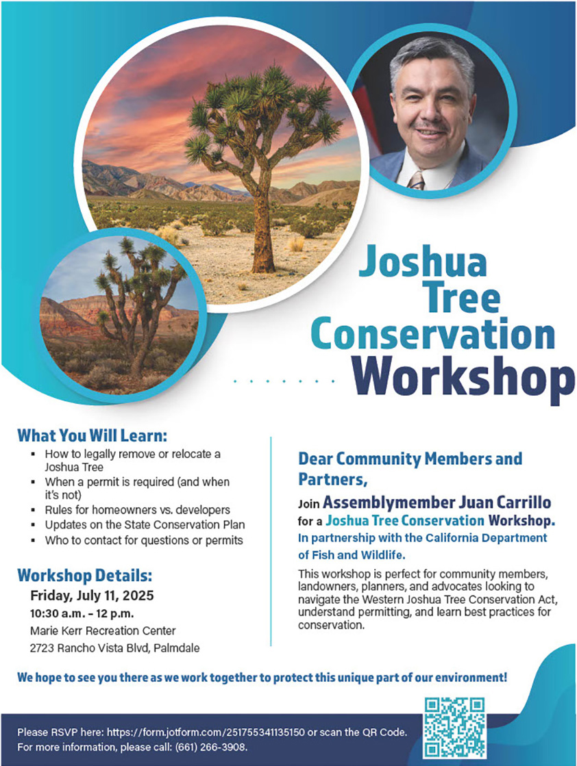 Joshua Tree Covervation Workshop
