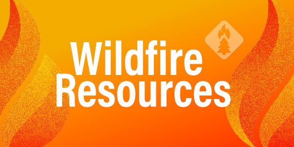 Wilfire Prep